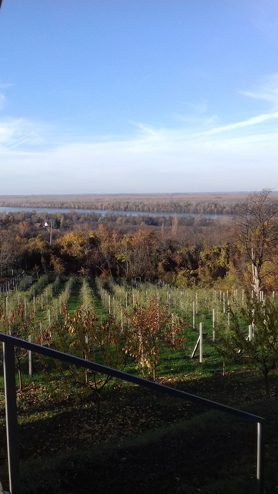 Vikendica, pogled na Dunav, Čortanovci, plac 30 ari