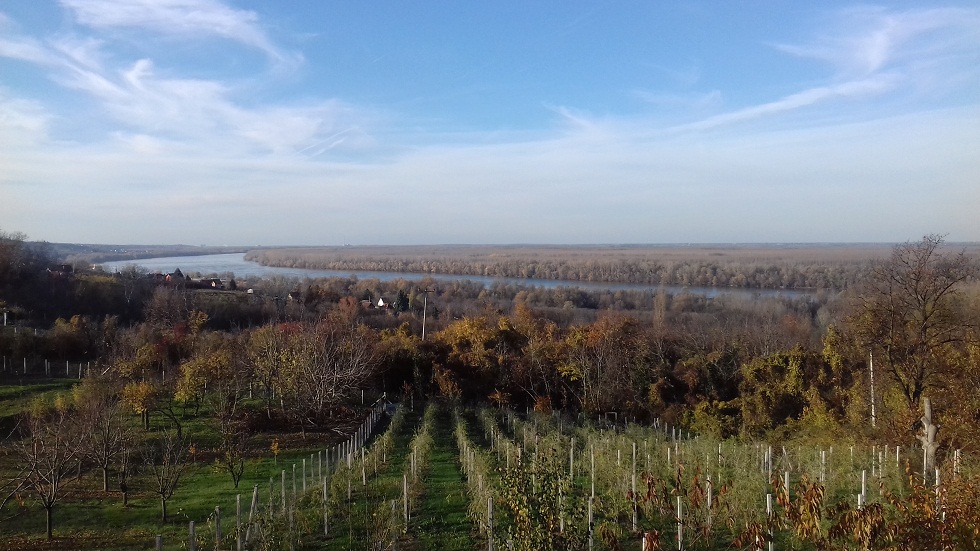 Vikendica, pogled na Dunav, Čortanovci, plac 30 ari