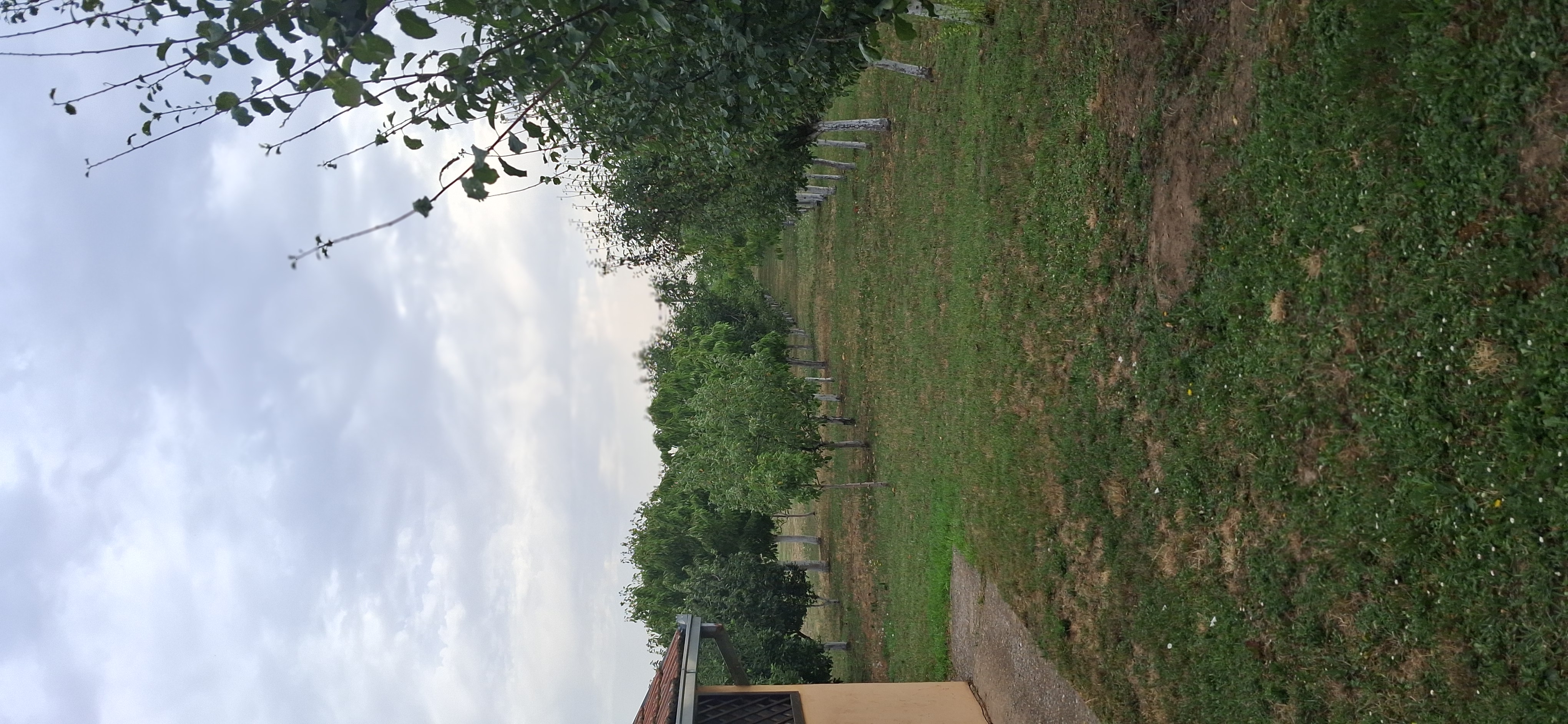 Dve novije kuće na placu od 20 ari u Inđiji