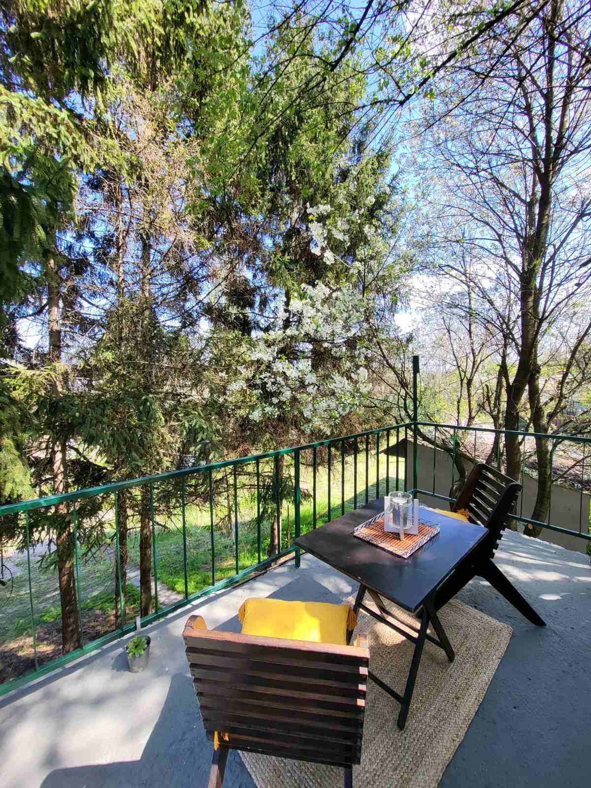 Vikendica Stari Slankamen, Oduševac, uknjižena