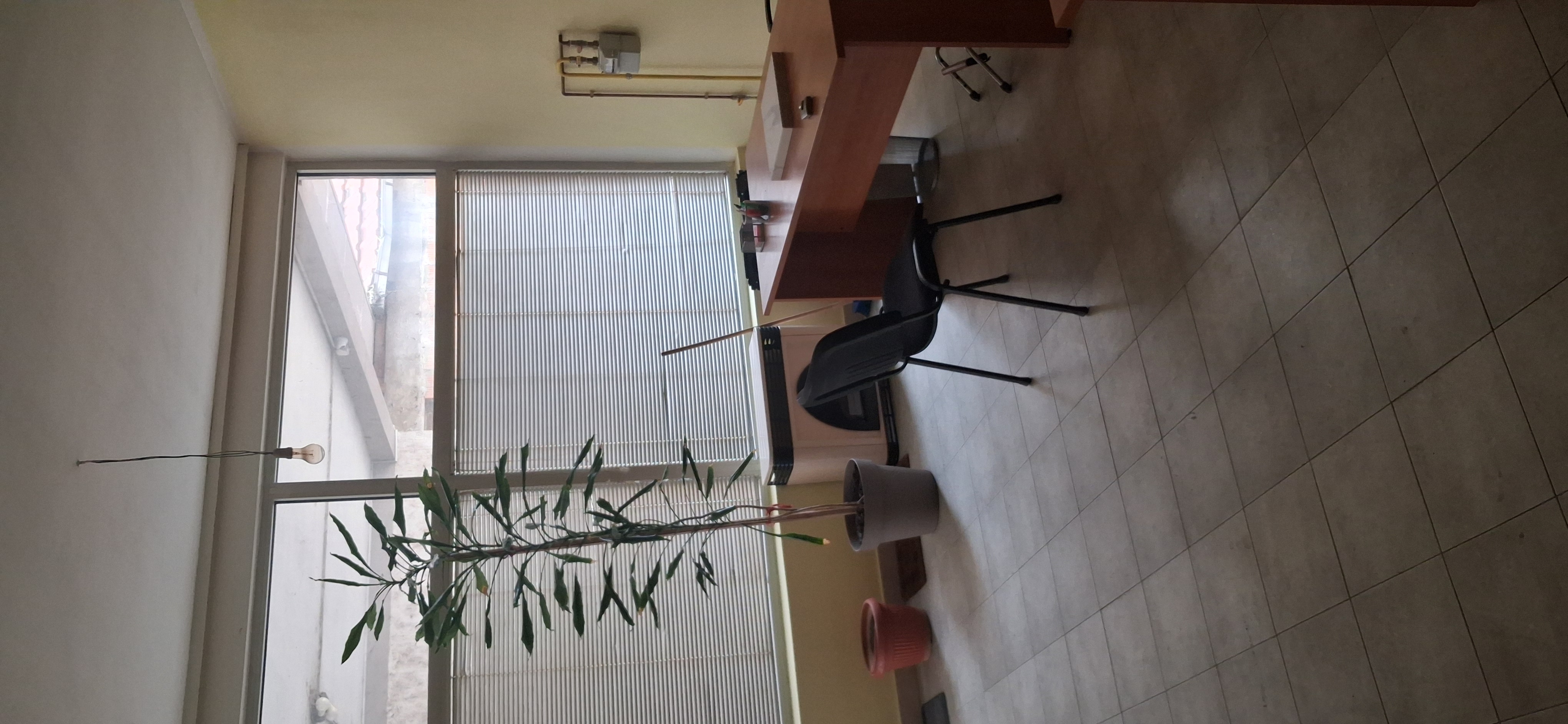 Lokal 34 m2, centar Inđije, nije do  ulice
