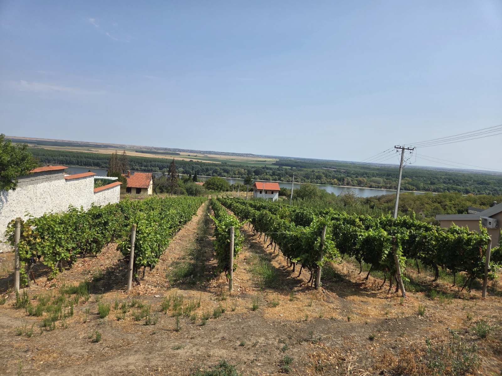 Vikendica 50 m2, plac 4989 m2, pogled na Dunav, Novi Slankamen