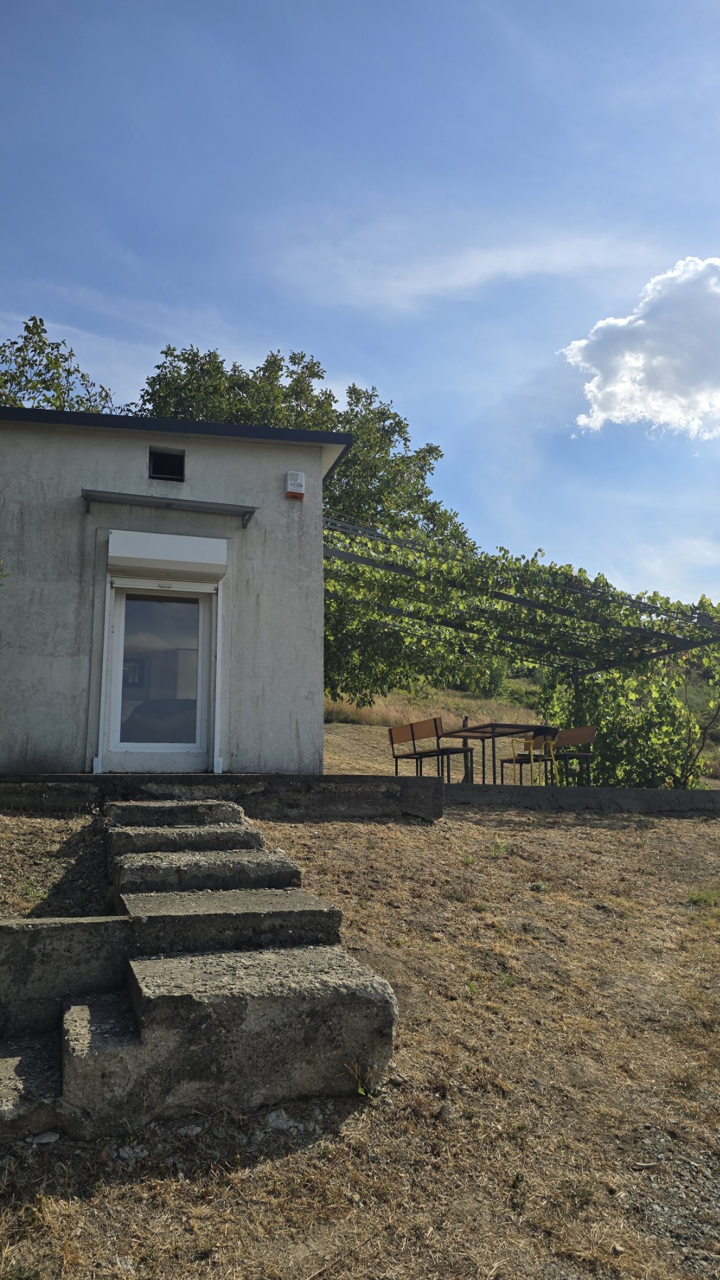 Manja vikend kuća, pogled na Dunav, plac 3000 m2, Novi Slankamen