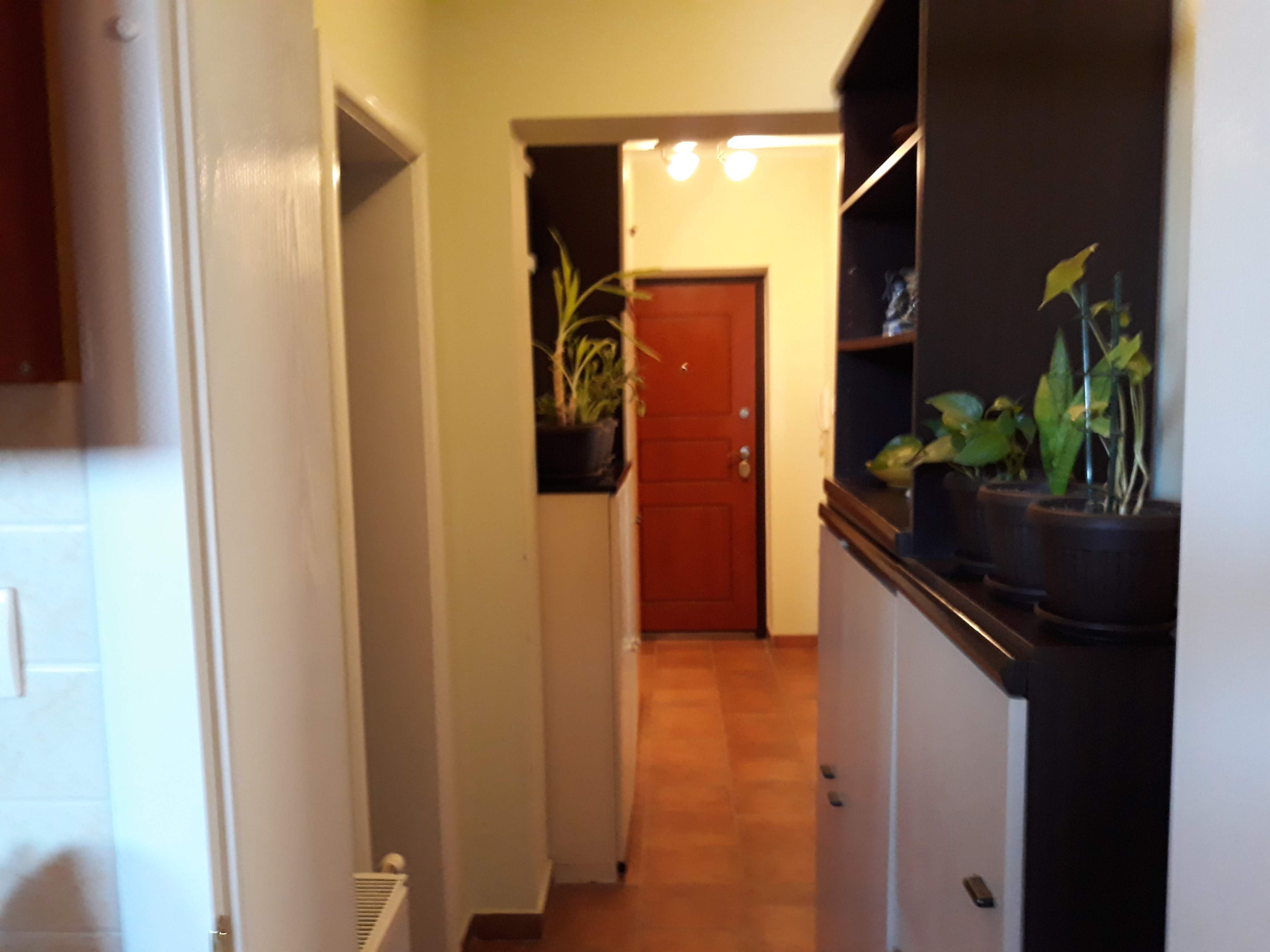 Stan 60 m2, II sprat novije zgrade u centru Inđije